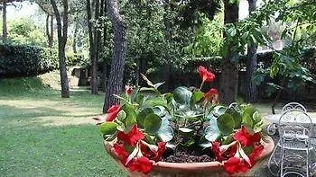 Guest house La Primetta